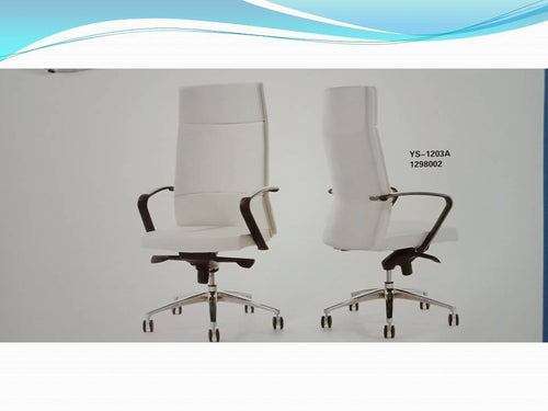 Director Chair - YS-1203A